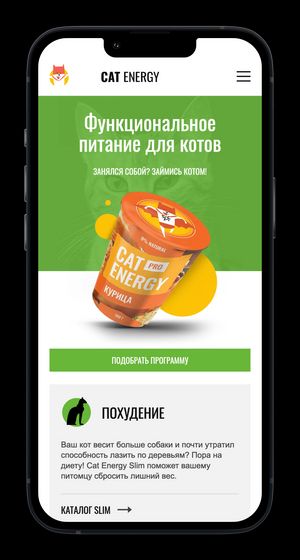 Π‘ΠΊΡΠΈΠ½ΡΠΎΡ ΡΠ°ΠΉΡΠ° Cat Energy